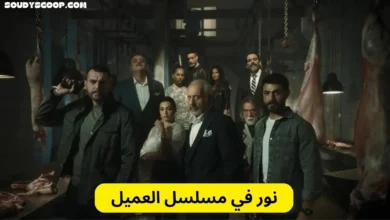 نور في مسلسل العميل