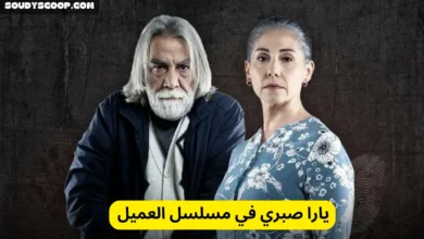 يارا صبري في مسلسل العميل