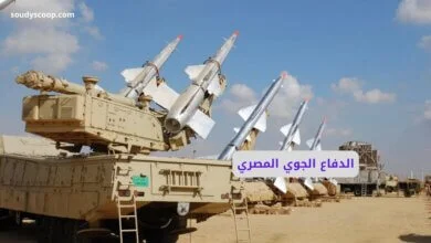 قوة الدفاع الجوي المصرية