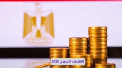 الاقتصاد المصري 2025: تحولات الشركات، الاستثمارات، والدعم الحكومي 13 الاقتصاد المصري 2025