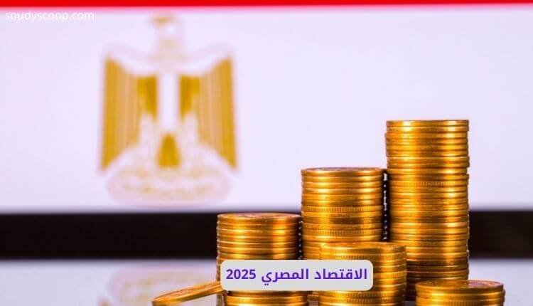 الاقتصاد المصري 2025: تحولات الشركات، الاستثمارات، والدعم الحكومي 1 الاقتصاد المصري 2025