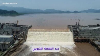 سد النهضة الإثيوبي وأزمة مياه النيل 12 سد النهضة الإثيوبي