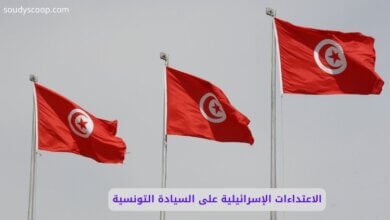 الاعتداءات الإسرائيلية على السيادة التونسية: قراءة في حادثة أسطول الصمود 12 الاعتداءات الإسرائيلية على السيادة التونسية