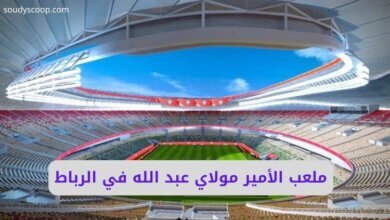 ملعب الأمير مولاي عبد الله في الرباط.. تحفة رياضية بمعايير عالمية 12 ملعب الأمير مولاي عبد الله في الرباط