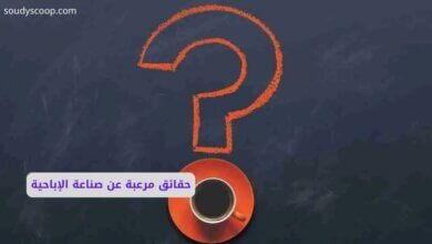 حقائق مرعبة عن صناعة الإباحية: القصة الكاملة من التاريخ إلى العصر الرقمي 11 حقائق مرعبة عن صناعة الإباحية