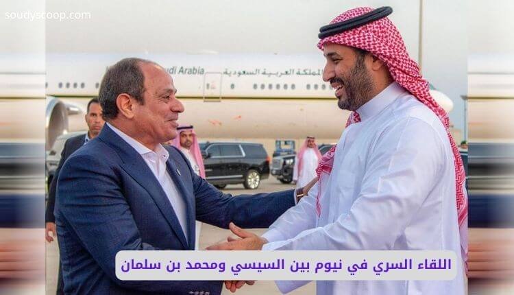 اللقاء السري في نيوم بين السيسي ومحمد بن سلمان: كواليس وتداعيات تهز المنطقة وتحالفات خفية 1 اللقاء السري في نيوم بين السيسي ومحمد بن سلمان