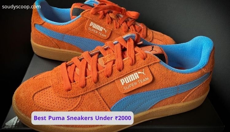 Top 5 Best Puma Sneakers Under ₹2000 Ranked from Fifth to First 1 Best Puma Sneakers Under ₹2000