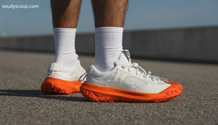 Nike ACG Mountain Fly Low 2