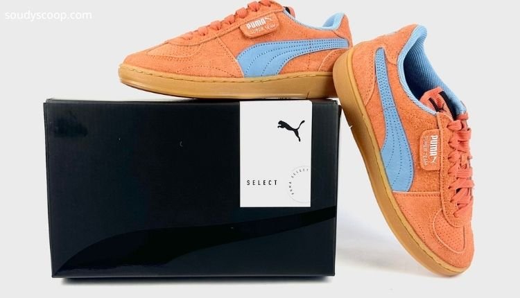 Top 5 Best Puma Sneakers Under ₹2000 Ranked from Fifth to First 4 Puma Super Team 14