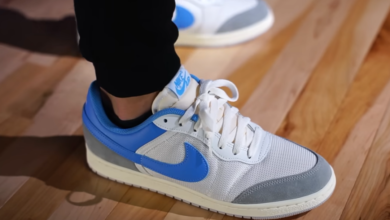 nike air jordan skyline low 2026